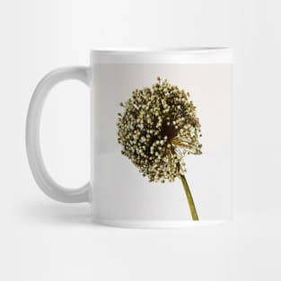 Blossom flower of garlic Mug